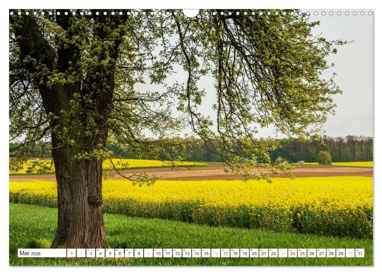 Produktbild: Die Wetterau - Landschaft und Kultur (Wandkalender 2026 DIN A3 quer), CALVENDO Monatskalender