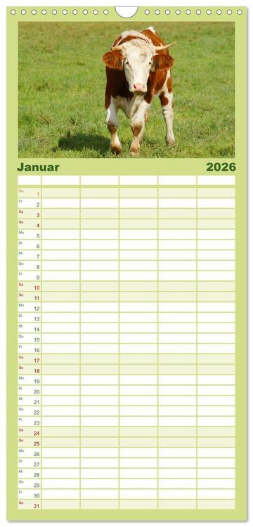 Produktbild: Familienplaner 2026 - Die Welt der K&uuml;he mit 5 Spalten (Wandkalender, 21 x 45 cm) CALVENDO