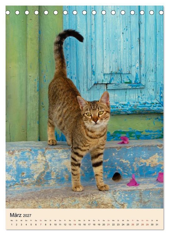 Produktbild: Katzen von Rhodos (Tischkalender 2027 DIN A5 hoch), CALVENDO Monatskalender