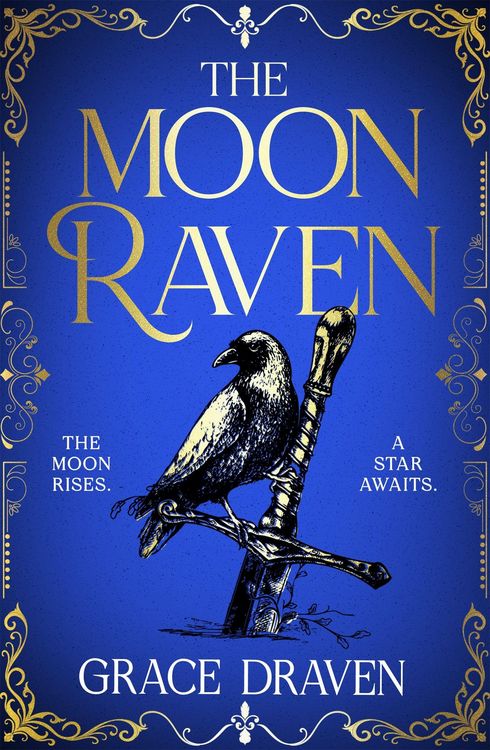 Produktbild: The Moon Raven