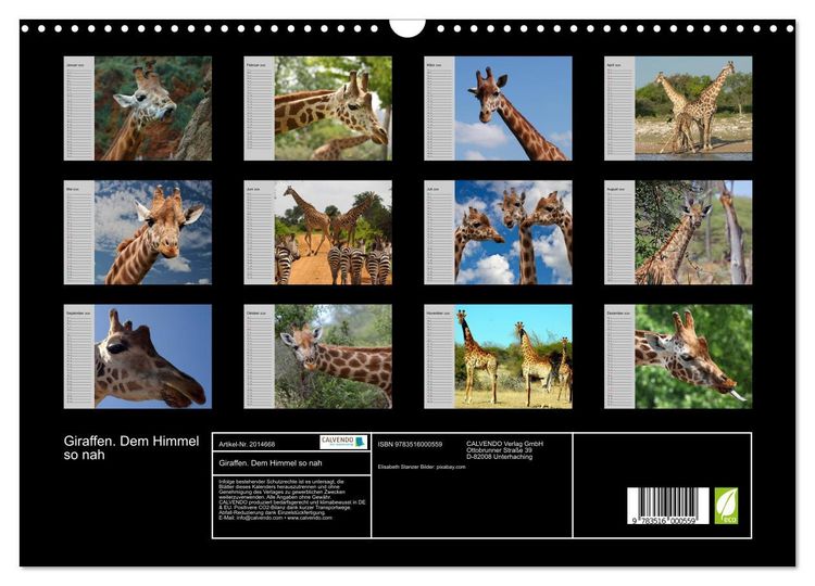 Produktbild: Giraffen. Dem Himmel so nah (Wandkalender 2026 DIN A3 quer), CALVENDO Monatskalender