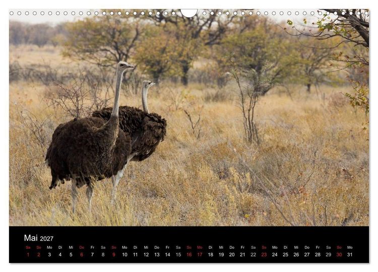 Produktbild: Wundersch&ouml;nes Namibia (Wandkalender 2027 DIN A3 quer), CALVENDO Monatskalender