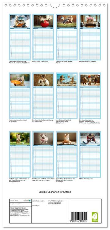 Produktbild: Familienplaner 2026 - Lustige Sportarten f&uuml;r Katzen mit 5 Spalten (Wandkalender, 21 x 45 cm) CALVENDO