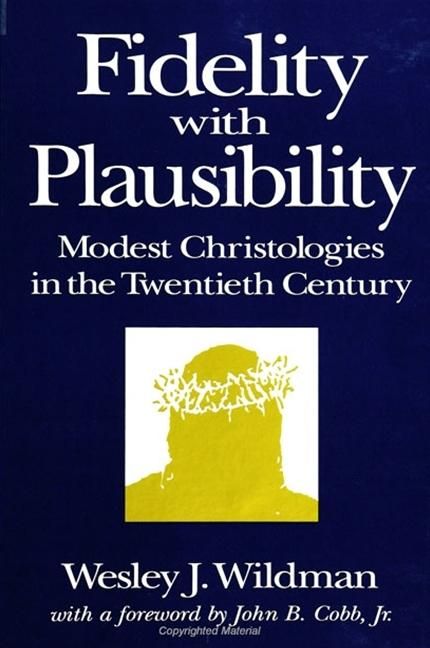 Produktbild: Fidelity with Plausibility