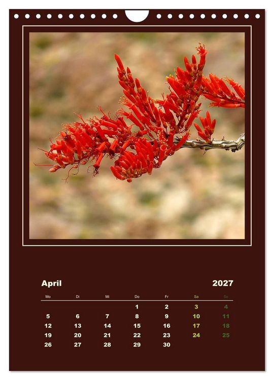 Produktbild: Wilde Kakteen Amerikas (Wandkalender 2027 DIN A4 hoch), CALVENDO Monatskalender