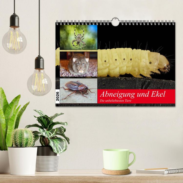Produktbild: Abneigung und Ekel. Die unbeliebtesten Tiere (Wandkalender 2026 DIN A4 quer), CALVENDO Monatskalender