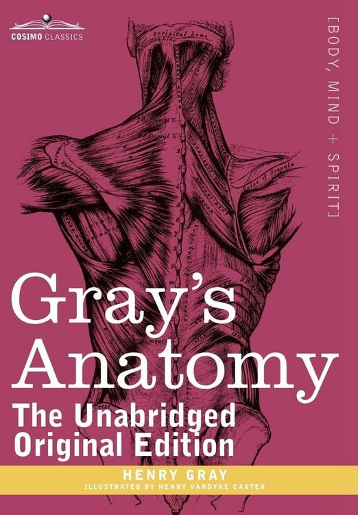 Produktbild: Gray's Anatomy
