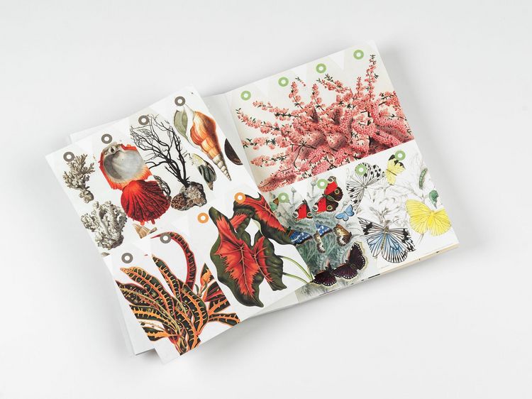 Produktbild: Natural History