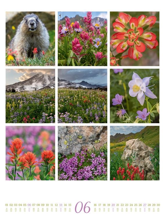 Produktbild: Inspiration Natur Kalender 2027