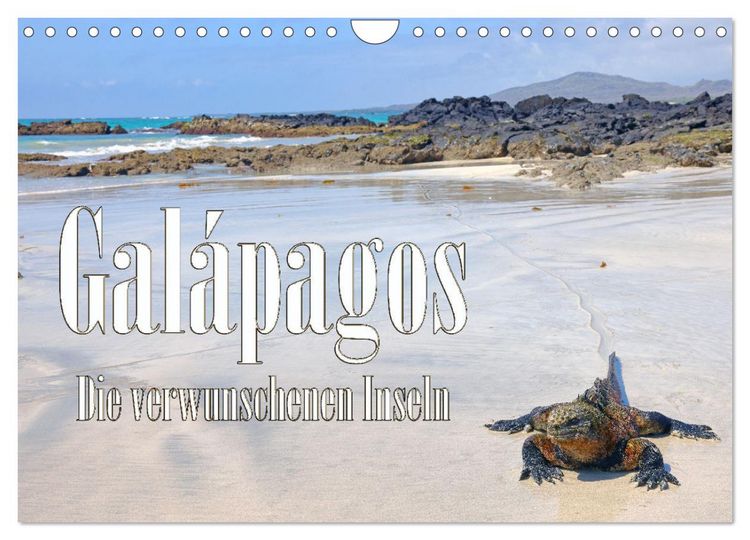 Produktbild: Gal&aacute;pagos - Die verwunschenen Inseln (Wandkalender 2026 DIN A4 quer), CALVENDO Monatskalender