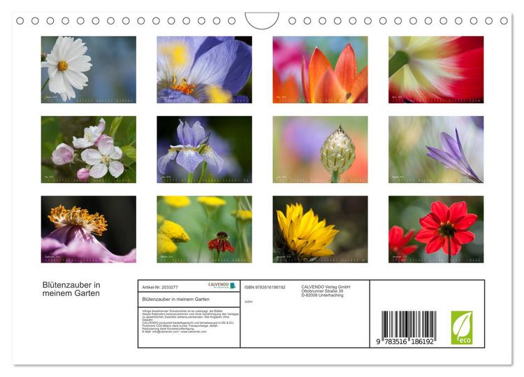 Produktbild: Bl&uuml;tenzauber in meinem Garten (Wandkalender 2026 DIN A4 quer), CALVENDO Monatskalender