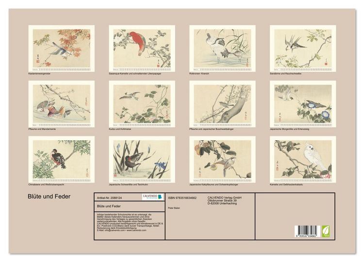 Produktbild: Bl&uuml;te und Feder (Wandkalender 2026 DIN A2 quer), CALVENDO Monatskalender