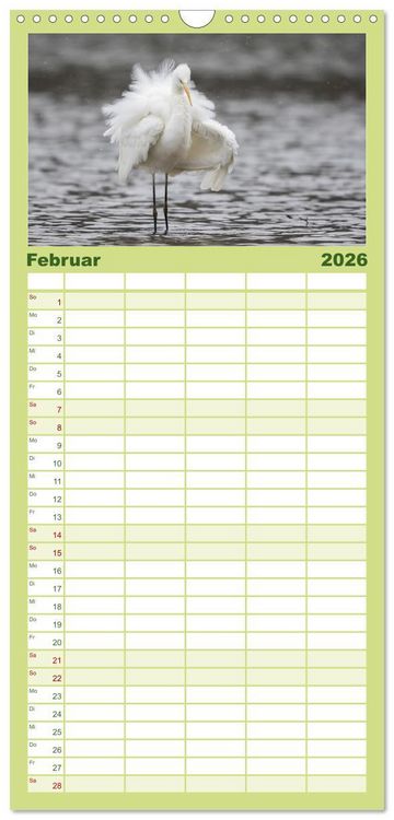 Produktbild: Familienplaner 2026 - Magie Heimische Natur mit 5 Spalten (Wandkalender, 21 x 45 cm) CALVENDO