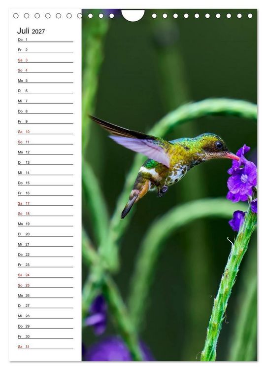 Produktbild: Costa Rica - Magische Tiere des Regenwaldes (Wandkalender 2027 DIN A4 hoch), CALVENDO Monatskalender