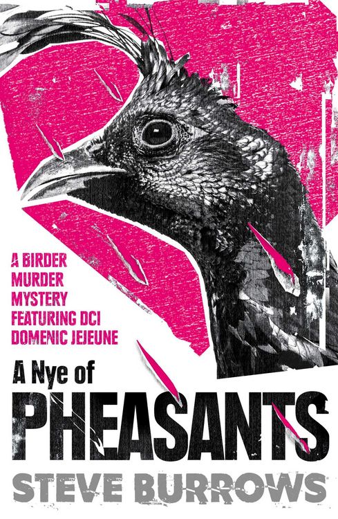 Produktbild: A Nye of Pheasants