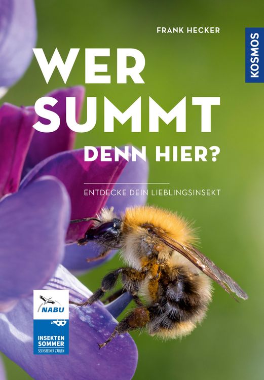 Produktbild: Wer summt denn hier? - Insektensommer