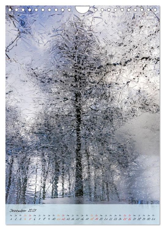 Produktbild: Wo der Wald tr&auml;umt (Wandkalender 2027 DIN A4 hoch), CALVENDO Monatskalender