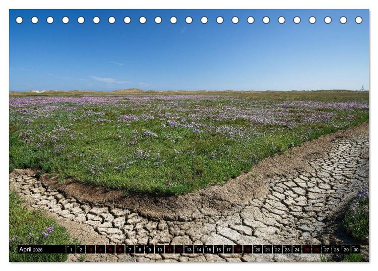 Produktbild: Norderney - von barfuss bis Cocktail (Tischkalender 2026 DIN A5 quer), CALVENDO Monatskalender
