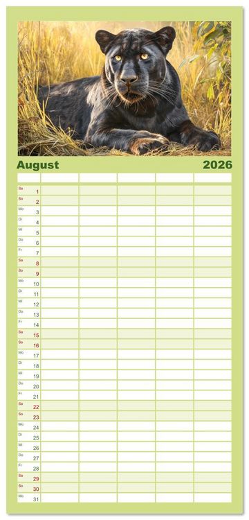 Produktbild: Familienplaner 2026 - Schwarze Panther. Geheimnisvolle Schatten der Wildnis mit 5 Spalten (Wandkalender, 21 x 45 cm) CALVENDO