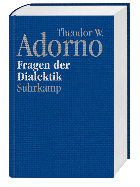 Produktbild: Nachgelassene Schriften. Abteilung IV: Vorlesungen