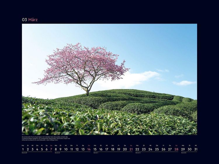 Produktbild: Aufgebl&uuml;ht - KUNTH Wandkalender 2027