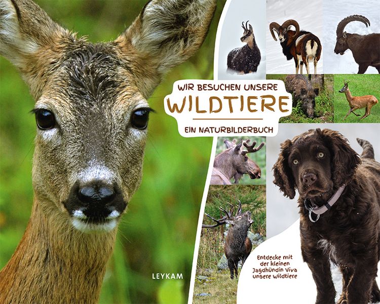 Produktbild: Wir besuchen unsere Wildtiere &ndash; Ein Naturbilderbuch