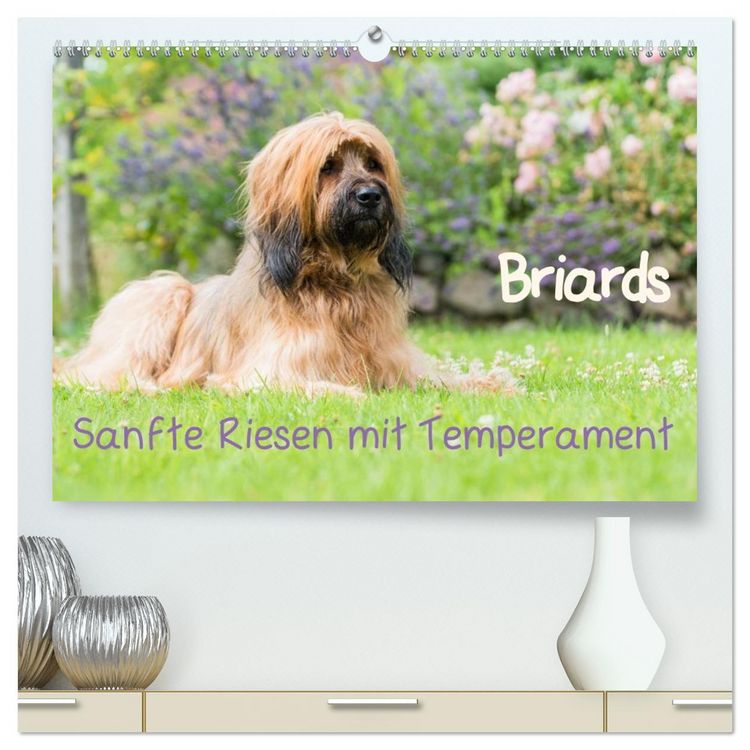Produktbild: Briards - sanfte Riesen mit Temperament (hochwertiger Premium Wandkalender 2026 DIN A2 quer), Kunstdruck in Hochglanz