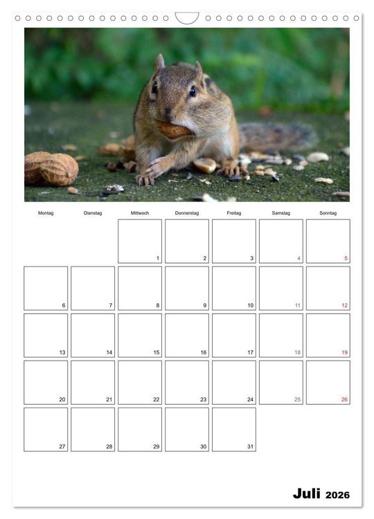 Produktbild: Streifenh&ouml;rnchen - neugierige Nager (Wandkalender 2026 DIN A3 hoch), CALVENDO Monatskalender