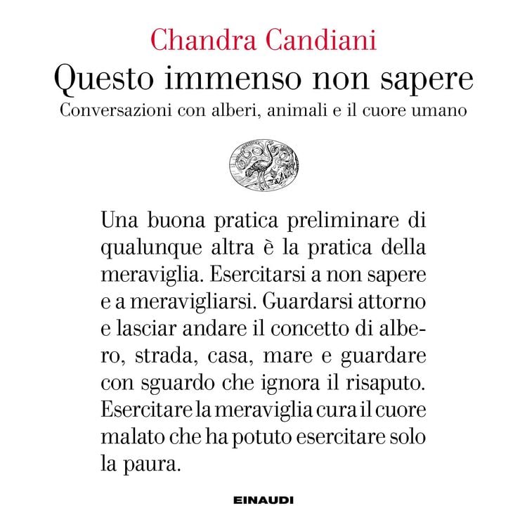 Produktbild: Questo immenso non sapere