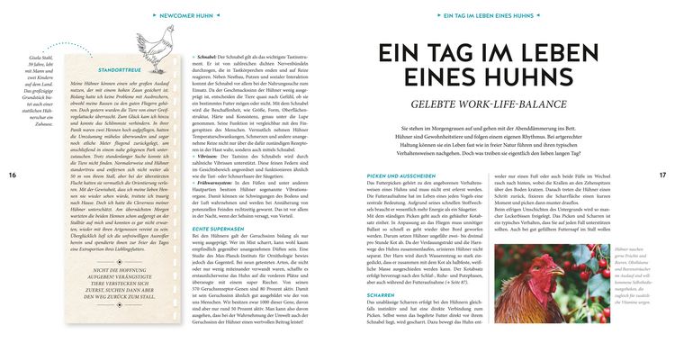 Produktbild: H&uuml;hner Basics
