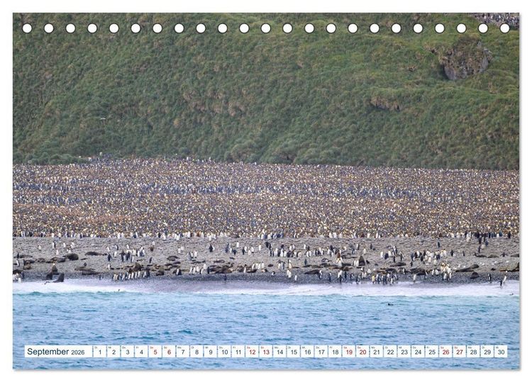 Produktbild: S&uuml;dgeorgien - Abgelegenes Naturparadies (Tischkalender 2026 DIN A5 quer), CALVENDO Monatskalender