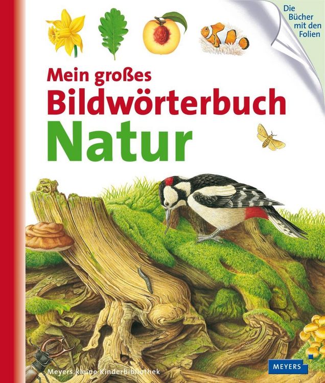 Produktbild: Mein gro&szlig;es Bildw&ouml;rterbuch Natur