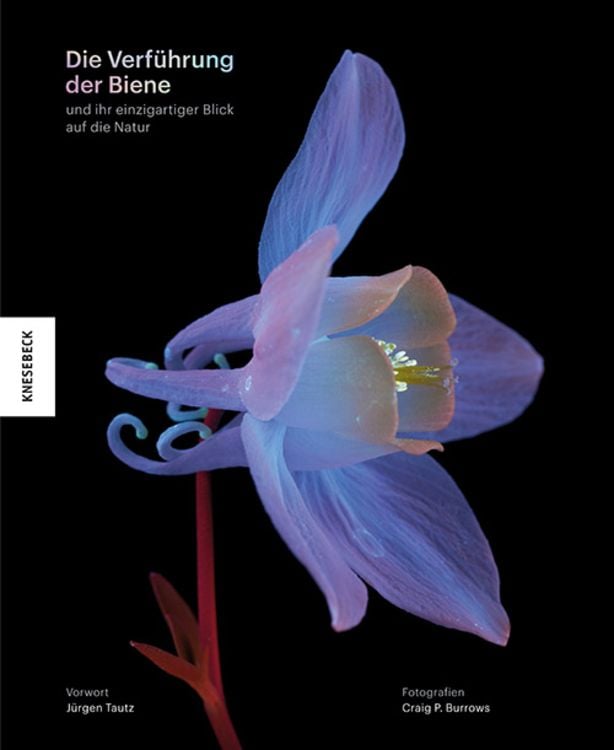 Produktbild: Die Verf&uuml;hrung der Biene