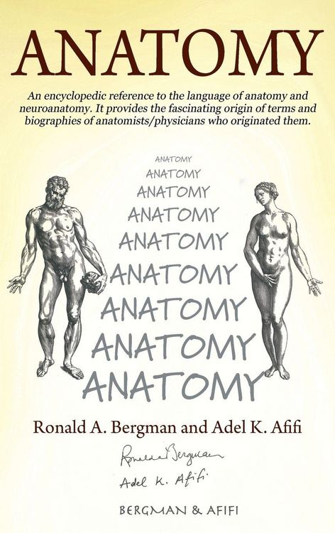 Produktbild: Anatomy