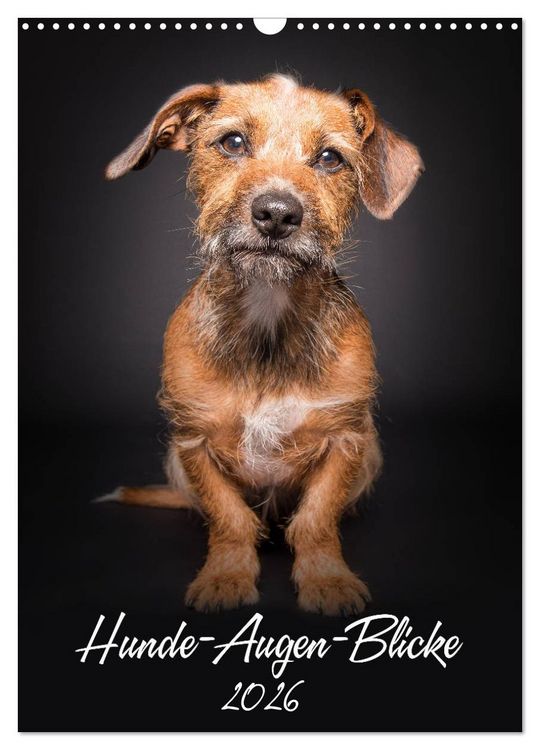 Produktbild: Hunde-Augen-Blicke (Wandkalender 2026 DIN A3 hoch), CALVENDO Monatskalender