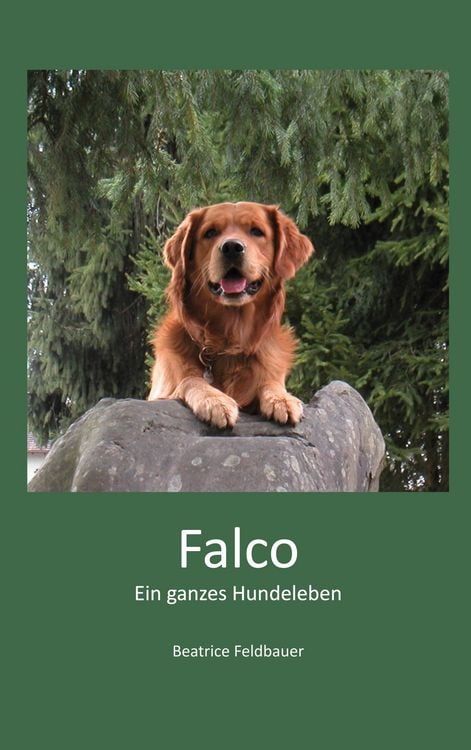 Produktbild: Falco
