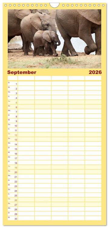 Produktbild: Familienplaner 2026 - Elefanten in Afrika mit 5 Spalten (Wandkalender, 21 x 45 cm) CALVENDO