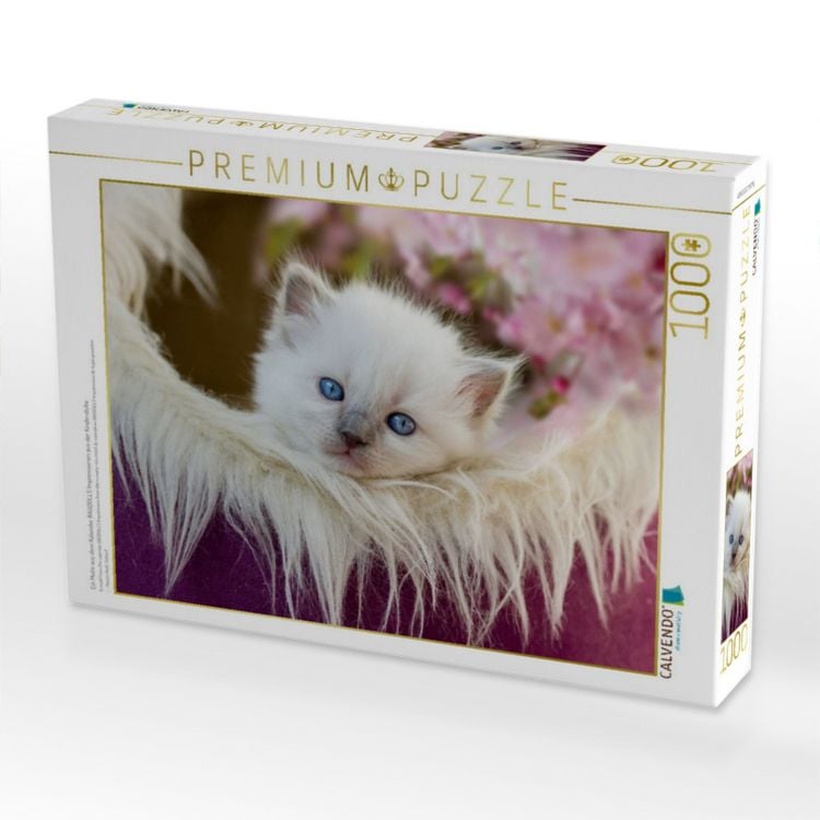 Produktbild: CALVENDO Puzzle Ein Motiv aus dem Kalender RAGDOLLS Impressionen aus der Kinderstube | 1000 Teile Lege-Gr&ouml;&szlig;e 64x48cm Foto-Puzzle f&uuml;r gl&uuml;ckliche Stunden