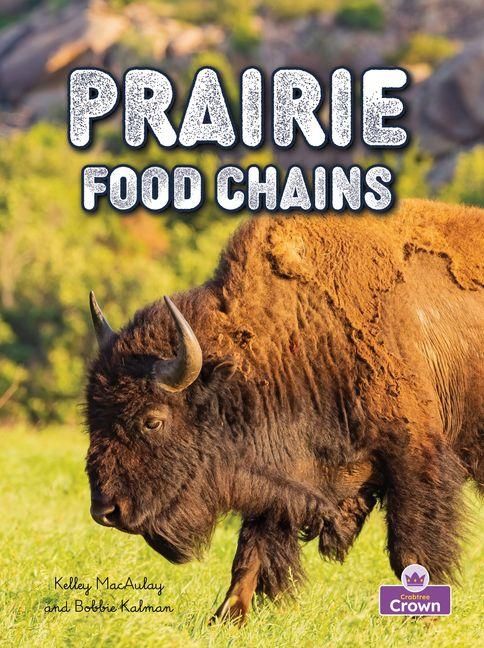 Produktbild: Prairie Food Chains