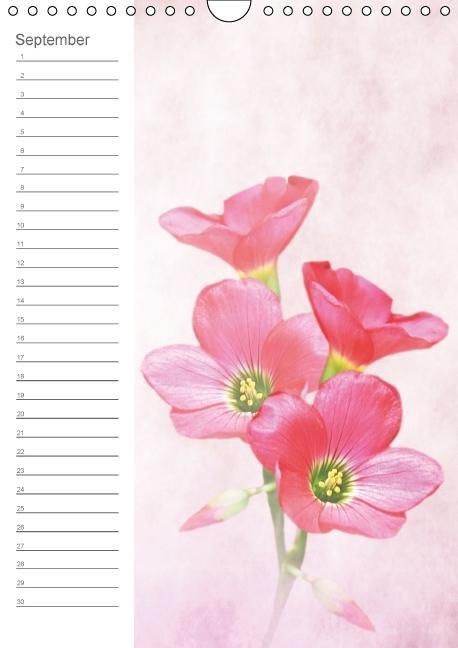Produktbild: Zarte Bl&uuml;ten / Geburtstagskalender (Wandkalender immerw&auml;hrend DIN A4 hoch)