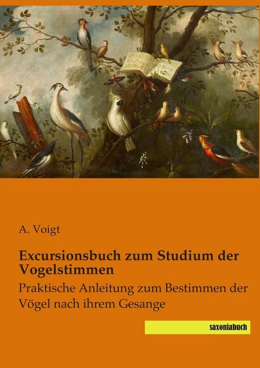 Produktbild: Excursionsbuch zum Studium der Vogelstimmen