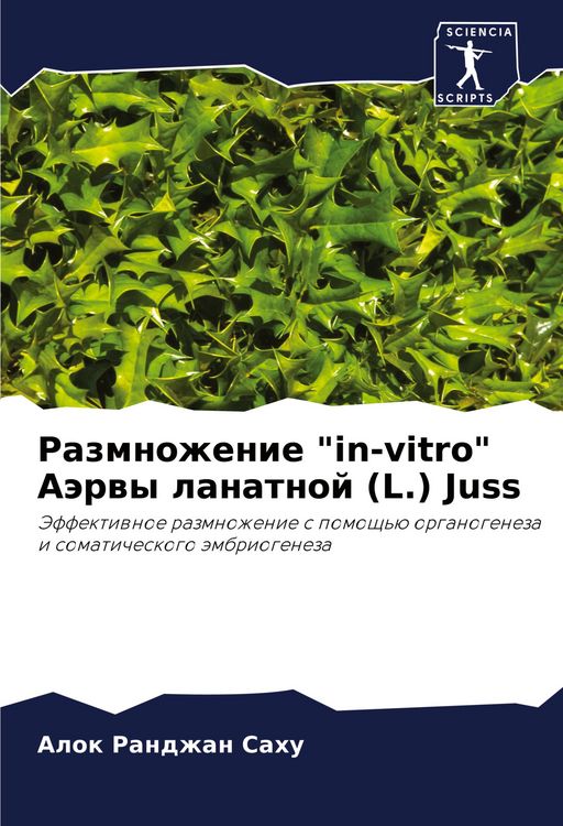 Produktbild: Razmnozhenie "in-vitro" A&auml;rwy lanatnoj (L.) Juss