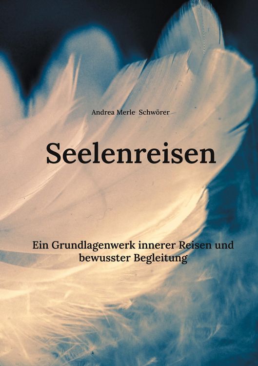 Produktbild: Seelenreisen