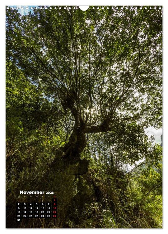 Produktbild: Levadas - Wasserwege auf Madeira (Wandkalender 2026 DIN A3 hoch), CALVENDO Monatskalender