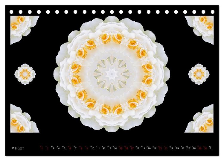 Produktbild: ROSEN MANDALAS (Tischkalender 2027 DIN A5 quer), CALVENDO Monatskalender