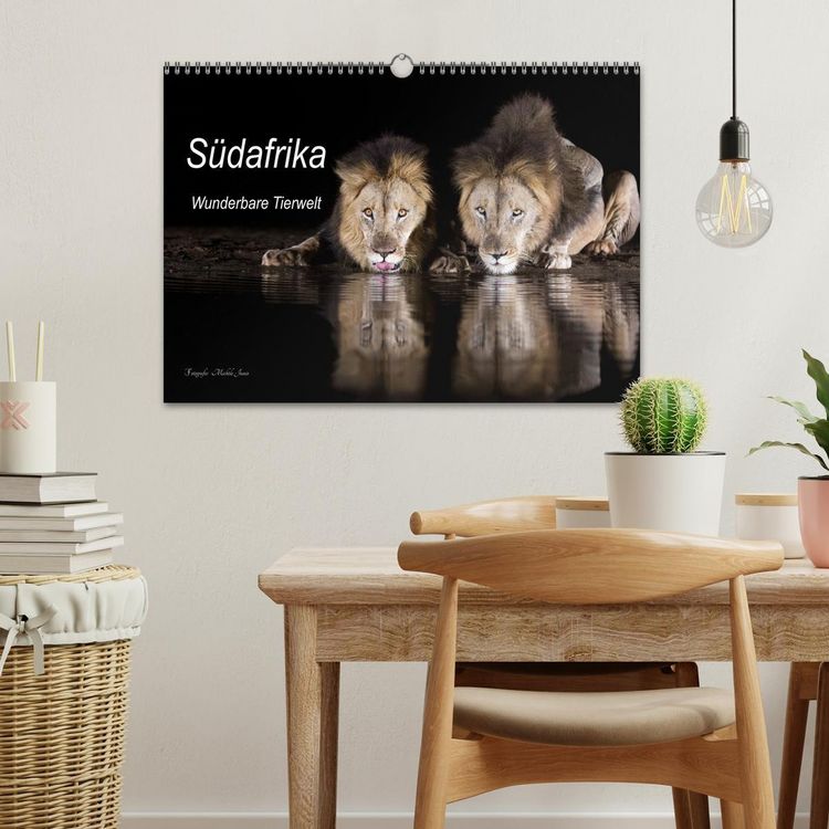 Produktbild: S&uuml;dafrika wunderbare Tierwelt (Wandkalender 2026 DIN A3 quer), CALVENDO Monatskalender