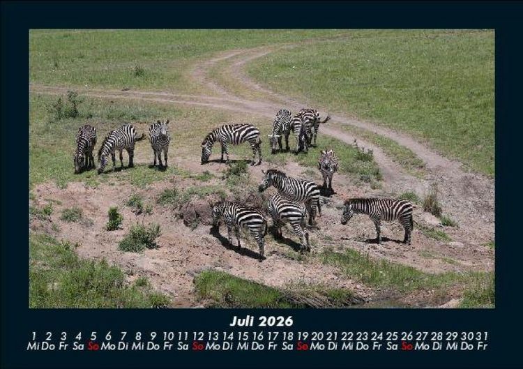 Produktbild: Zebrazauber 2026 Fotokalender DIN A5