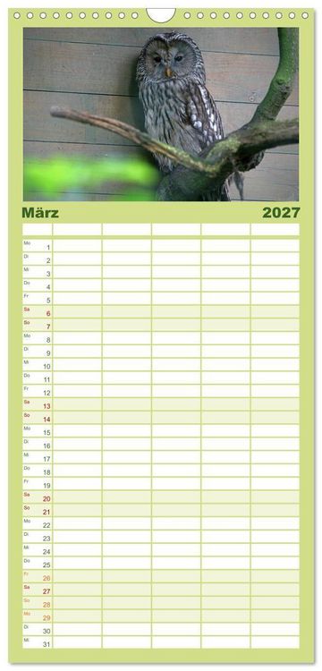 Produktbild: Familienplaner 2027 - Eulen mit 5 Spalten (Wandkalender, 21 x 45 cm) CALVENDO