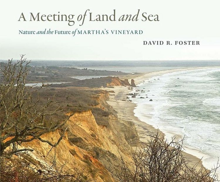 Produktbild: A Meeting of Land and Sea