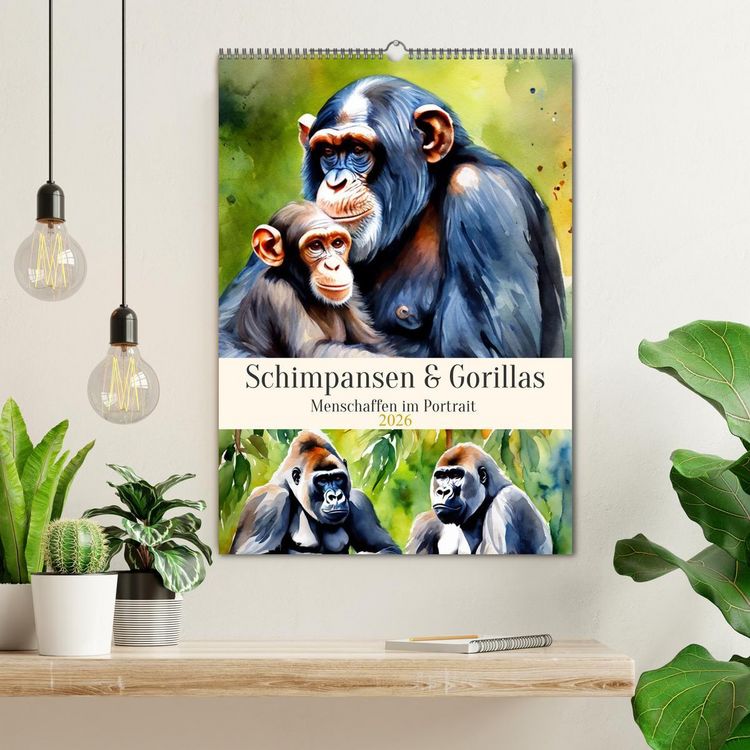 Produktbild: Schimpansen & Gorillas (Wandkalender 2026 DIN A2 hoch), CALVENDO Monatskalender